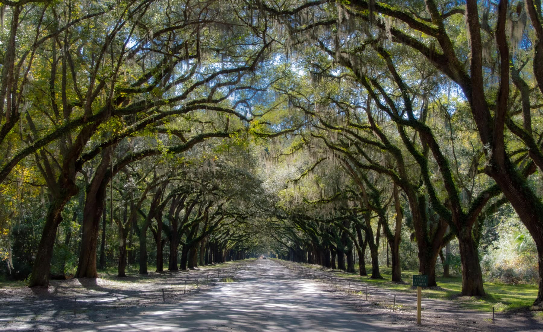 Wilmington Island, Savannah
