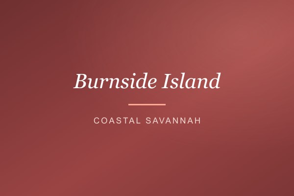 Burnside Island, coastal Savannah