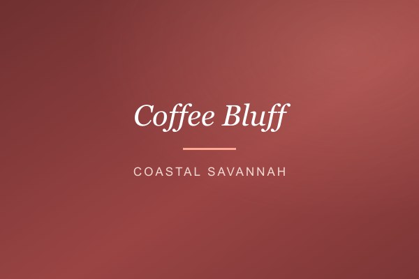 Coffee Bluff, coastal Savannah